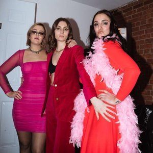 Pink Long Sleeve Vintage Gown